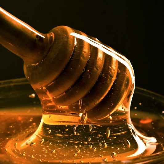 honey dripping