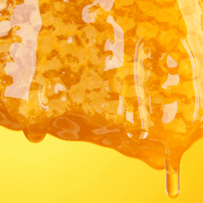 Honey dripping from honeycomb