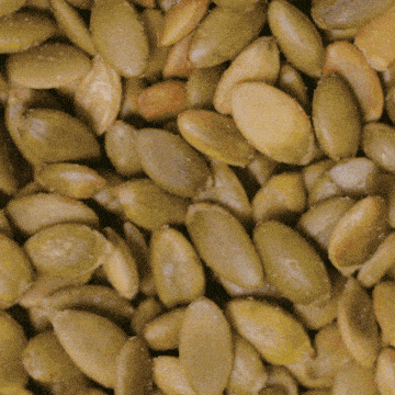 Pumpkin seeds