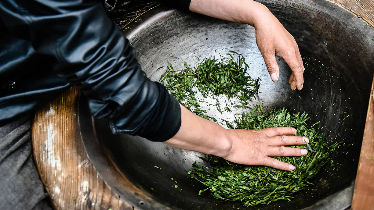 dried green tea leaves